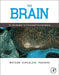 The Brain: An Introduction to Functional Neuroanatomy by Charles Watson