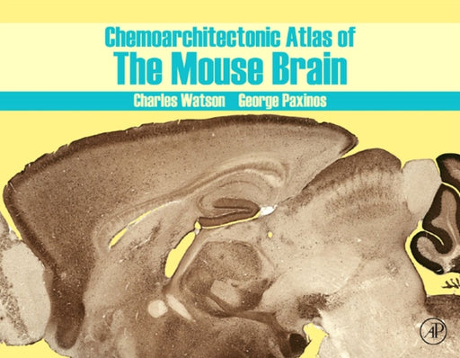 Chemoarchitectonic Atlas Of The Mouse Brain by George Paxinos