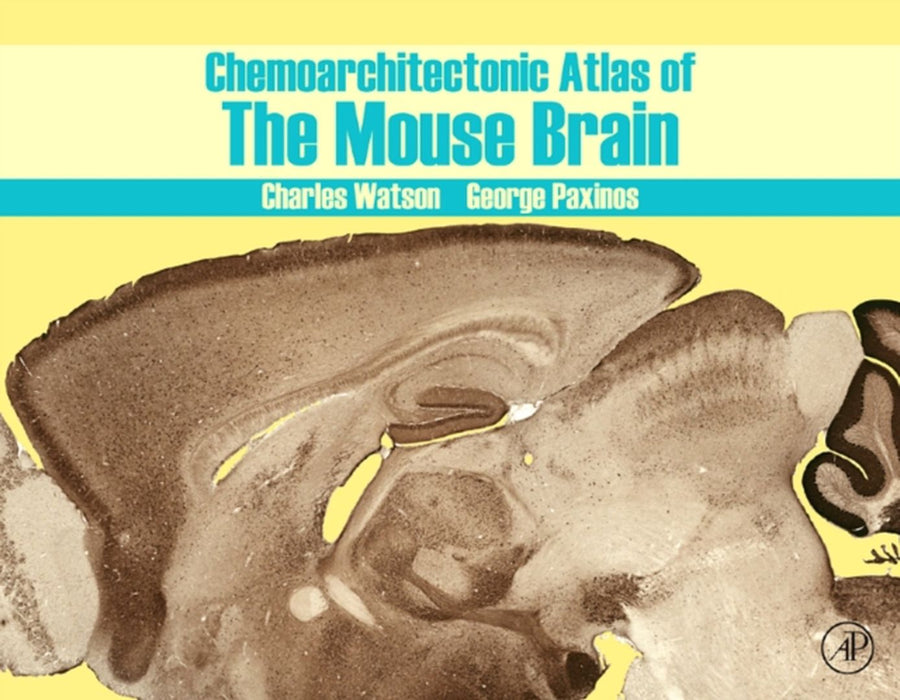 Chemoarchitectonic Atlas Of The Mouse Brain by George Paxinos