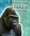 The Essential Guide to Image Processing by Alan C. Bovik
