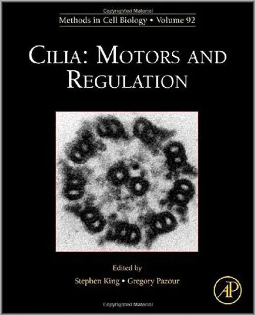 Cilia: Motors and Regulation (Vol. 92) by Stephen M. King