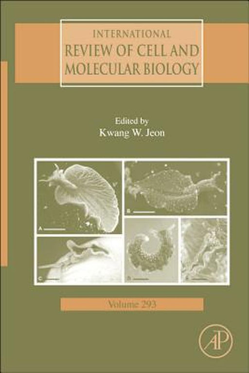 International Review Of Cell And Molecular Biology by Kwang W. Jeon