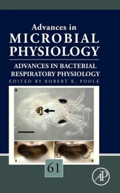 Advances In Bacterial Respiratory Physiology by Robert K. Poole