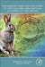 The Biology and Identification of the Coccidia (Apicomplexa) of Rabbits of the World by Donald W. Duszynski