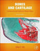 Bones and Cartilage: Developmental and Evolutionary Skeletal Biology by Brian K. Hall