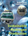 Sustainable Hydrogen Production by Ibrahim Dincer, Ibrahim Dincer