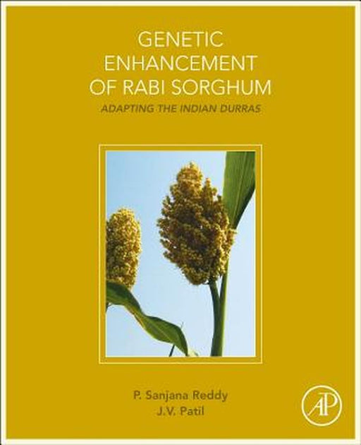 Genetic Enhancement Of Rabi Sorghum-The Indian Durras by Sanjana Reddy