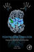 Pediatric Brain Stimulation: Mapping and Modulating the Developing Brain by Adam Kirton