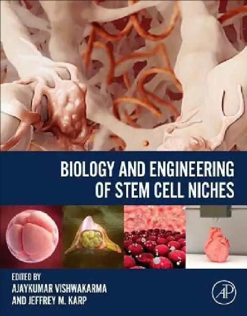 Biology and Engineering of Stem Cell Niches by Ajaykumar Vishwakarma
