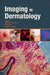 Imaging in Dermatology by Michael R. Hamblin