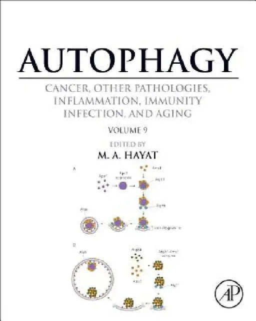 Autophagy: Cancer, Other Pathologies, Inflammation, Immunity, Infection, and Aging: Human Diseases and Autophagosome by M. A. Hayat