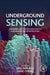 Underground Sensing: Monitoring and Hazard Detection for Environment and Infrastructure by Sibel Pamukcu
