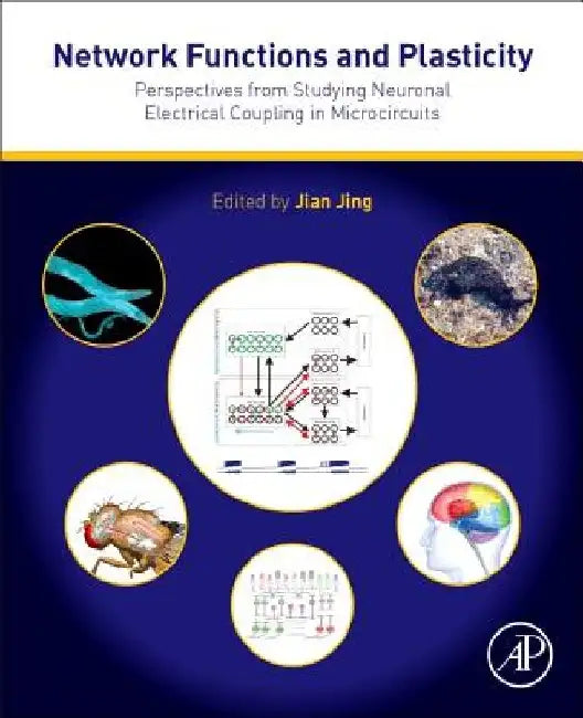 Network Functions and Plasticity: Perspectives from Studying Neuronal Electrical Coupling in Microcircuits by Jian Jing