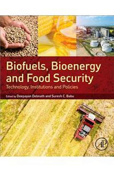 Biofuels Bioenergy and Food Security: Technology Institutions and Policies 1ed:: Technology, Institutions and Policies