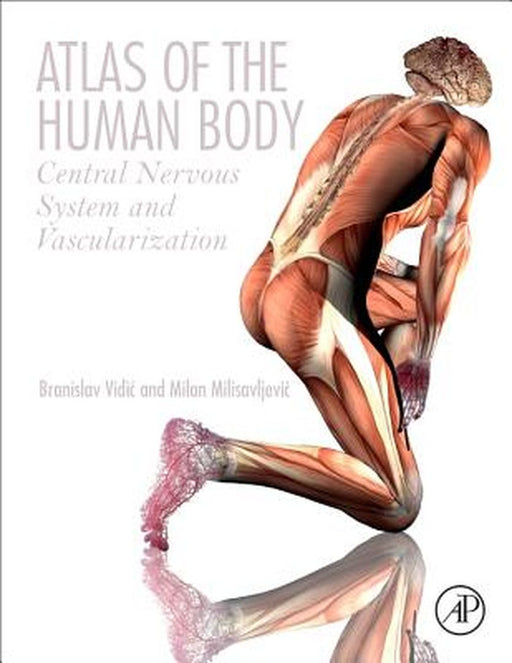 Atlas of the Human Body: Central Nervous System and Vascularization by Branislav Vidic
