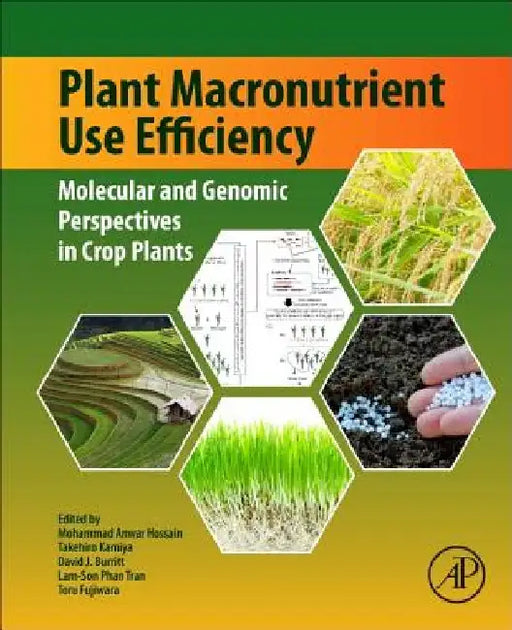 Plant Macronutrient Use Efficiency: Molecular and Genomic Perspectives in Crop Plants by Mohammad Anwar Hossain