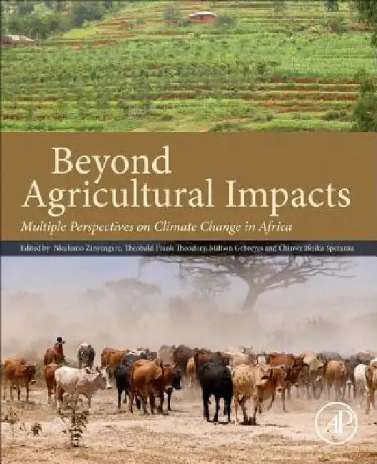 Beyond Agricultural Impacts: Multiple Perspectives on Climate Change and Agriculture in Africa by Nkulumo Zinyengere