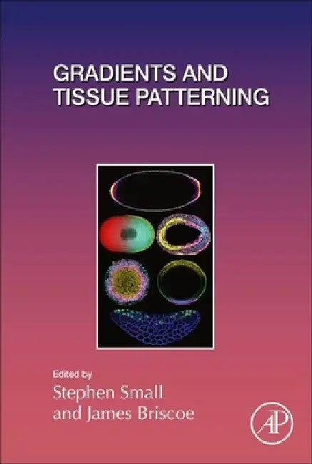 Gradients and Tissue Patterning by Stephen Small