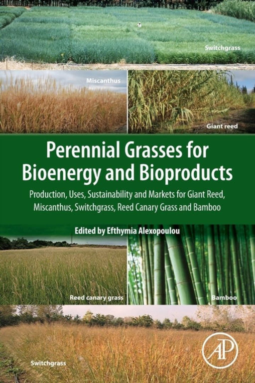 Perennial Grasses for Bioenergy and Bioproducts: Production Uses Sustainability and: Markets for Giant Reed Miscanthus Switchgrass Reed Canary Grass and Bamboo 1ed: by Alexopoulou Efthymia