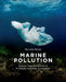 Marine Pollution: Sources, Fate and Effects of Pollutants in Coastal Ecosystems by Ricardo Beiras