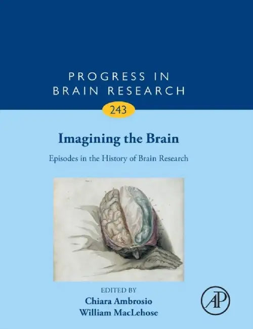 Imagining The Brain: Episodes In The Visual History Of Brain Research: 1ed by Ambrosio Chiara