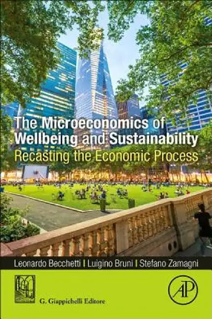 The Microeconomics of Wellbeing and Sustainability: Recasting the Economic Process by Becchetti Leonardo
