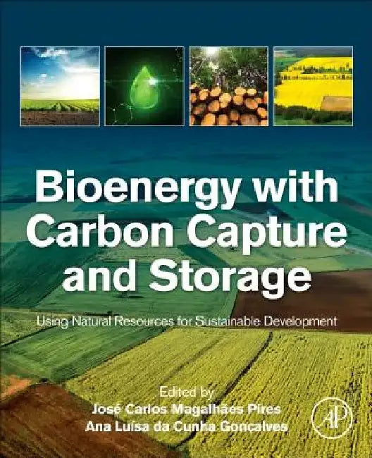 Bioenergy with Carbon Capture and Storage: Using Natural Resources for Sustainable Development by José Carlos Magalhães Pires