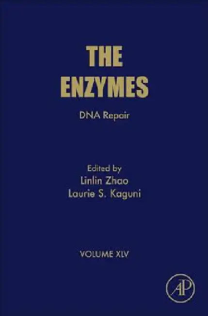 DNA Repair by Linlin Zhao