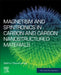 Magnetism and Spintronics in Carbon and Carbon Nanostructured Materials by Sekhar Chandra Ray