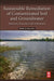 Sustainable Remediation of Contaminated Soil and Groundwater: Materials Processes and Assessment by Hou Deyi