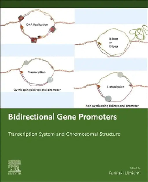 Bidirectional Gene Promoters: Transcription system and chromosomal structure by Fumiaki Uchiumi