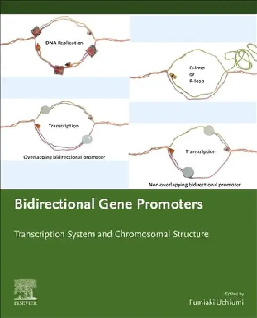 Bidirectional Gene Promoters: Transcription system and chromosomal structure by Fumiaki Uchiumi