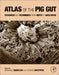 Atlas of the Pig Gut: Research and Techniques from Birth to Adulthood by Romuald Zabielski