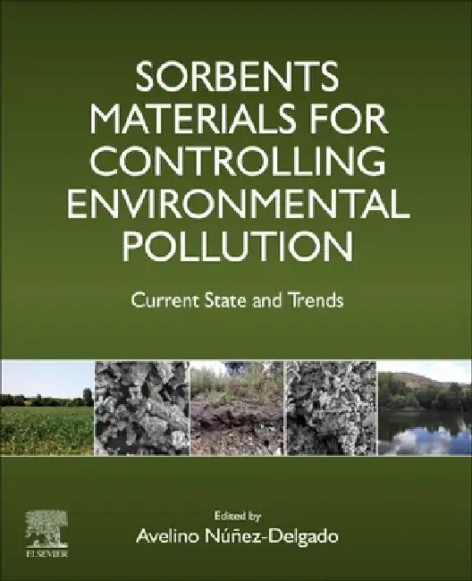 Sorbents Materials for Controlling Environmental Pollution: Current State and Trends by Avelino Nunez-Delgado