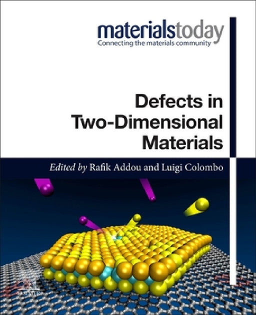 Defects in Two-Dimensional Materials by Rafik Addou