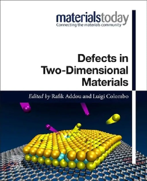 Defects in Two-Dimensional Materials by Rafik Addou