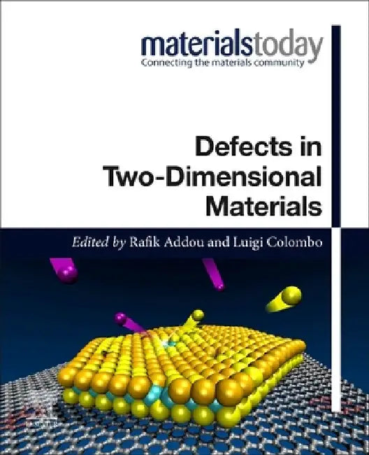 Defects in Two-Dimensional Materials by Rafik Addou