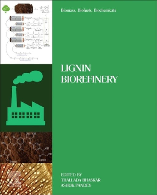 Biomass, Biofuels, Biochemicals: Lignin Biorefinery by Thallada Bhaskar
