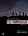 Encyclopedia of the Human Brain by Grafman