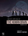 Encyclopedia of the Human Brain by Grafman