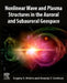 Nonlinear Wave and Plasma Structures in the Auroral and Subauroral Geospace by Evgeny Mishin