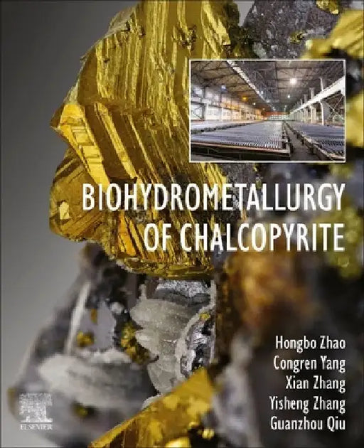 Biohydrometallurgy of Chalcopyrite by Hongbo Zhao
