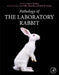 Pathology of the Laboratory Rabbit by Alys Bradley