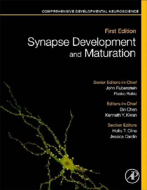 Synapse Development and Maturation: Comprehensive Developmental Neuroscience by Pasko Rakic