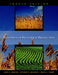 Principles of Field Crop Production by John Martin, Deceased Leonard Warren, David Stamp
