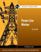 Power Line Worker Trainee Guide, Level 1 by Nccer