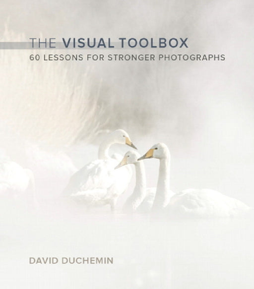 The Visual Toolbox: 60 Lessons for Stronger Photographs by David Duchemin