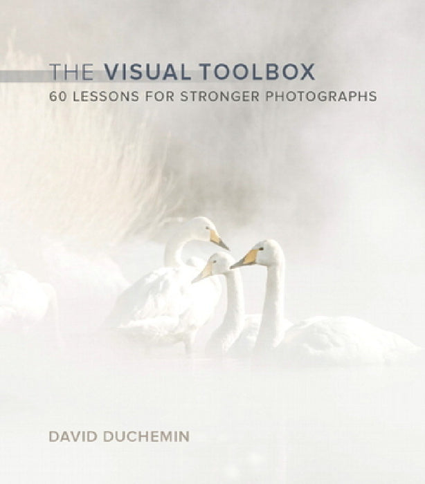 The Visual Toolbox: 60 Lessons for Stronger Photographs by David Duchemin