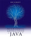 Programming Abstractions in Java by Eric Roberts