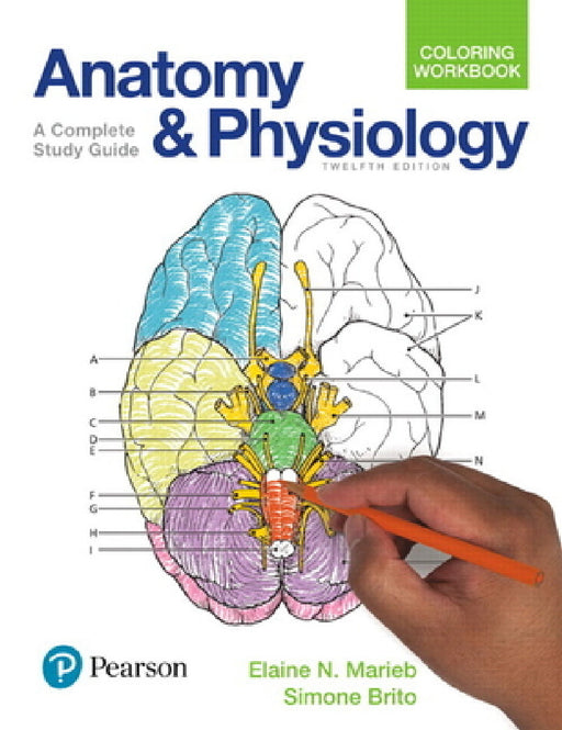 Anatomy and Physiology Coloring Workbook: A Complete Study Guide by Elaine Marieb, Simone Brito